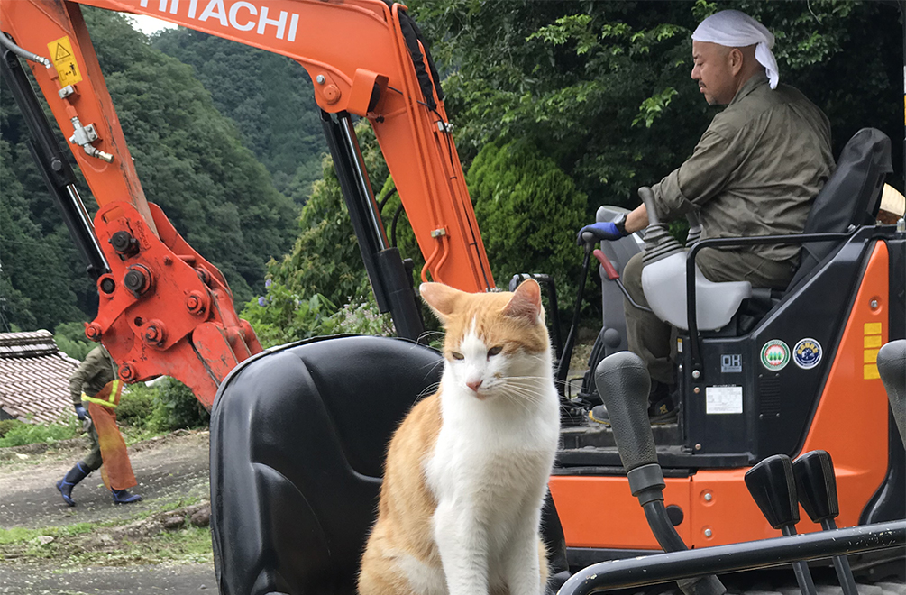 増え続ける低体重児  その原因と対策を考える